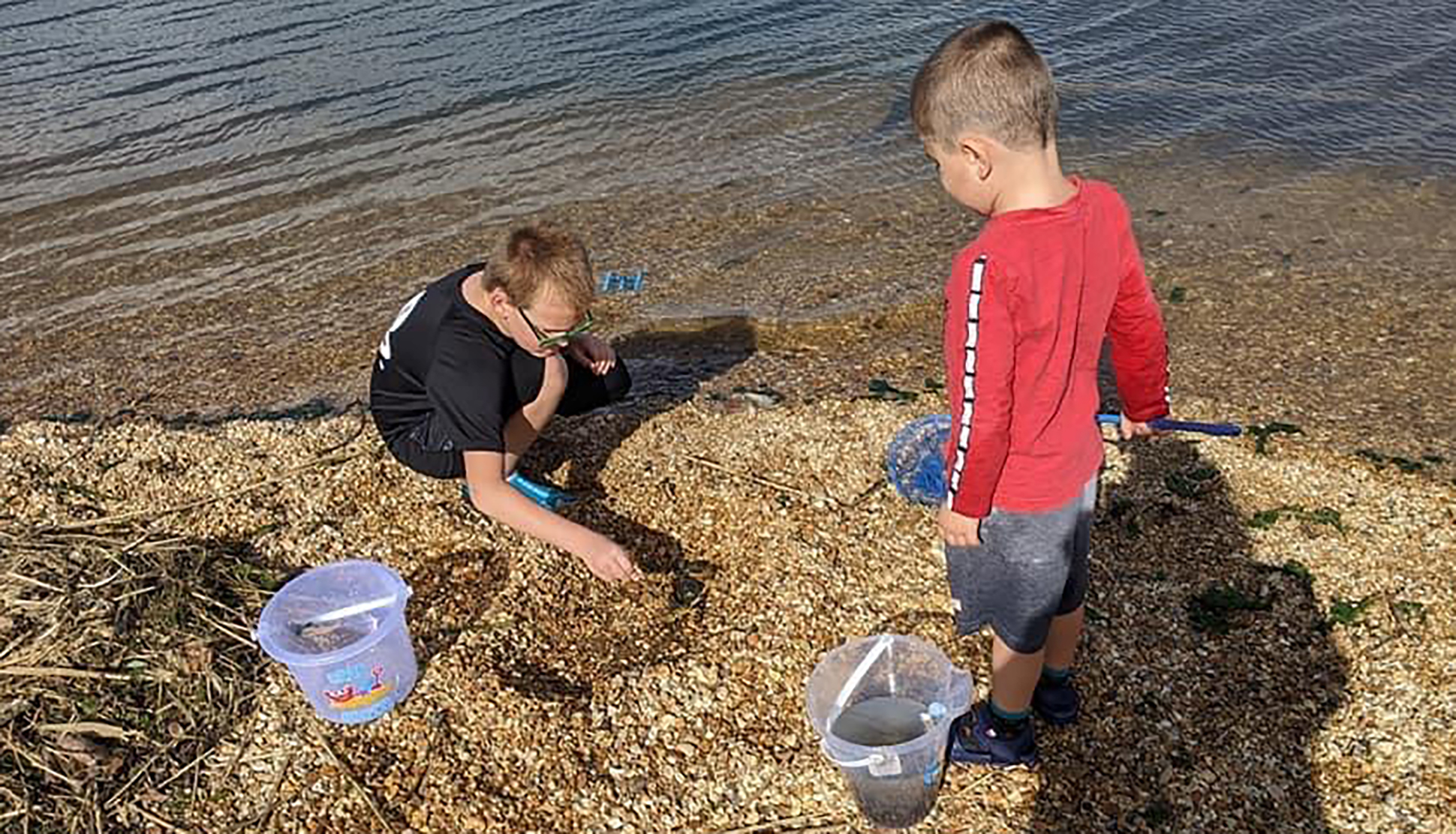 Goatee beach, Hampshire